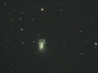 Γαλαξίας NGC 4449 - Caldwell 21