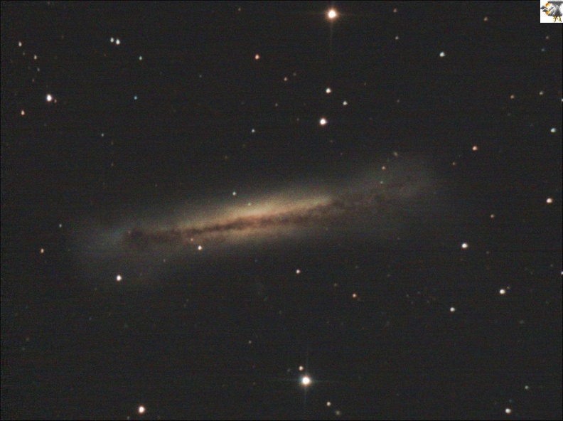 Γαλαξίας NGC 3628 - Hamburger