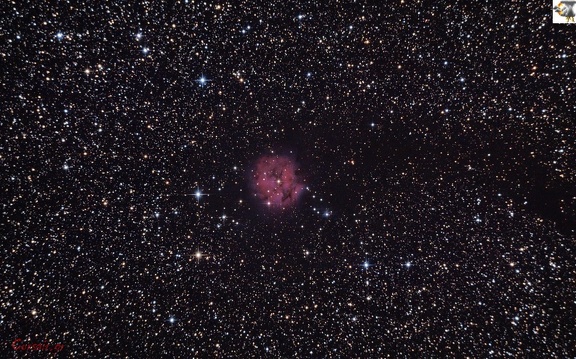 IC 5146 - Νεφέλωμα "Κουκούλι"