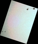 Ήλιος - Ηλιακές κηλίδες AR12645, AR12644